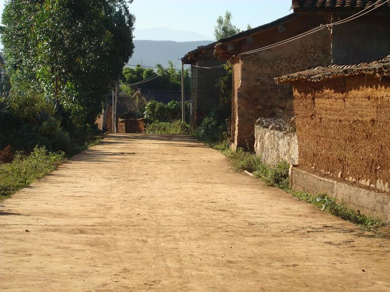 進村道路