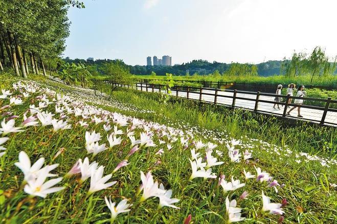 謝家河濕地公園