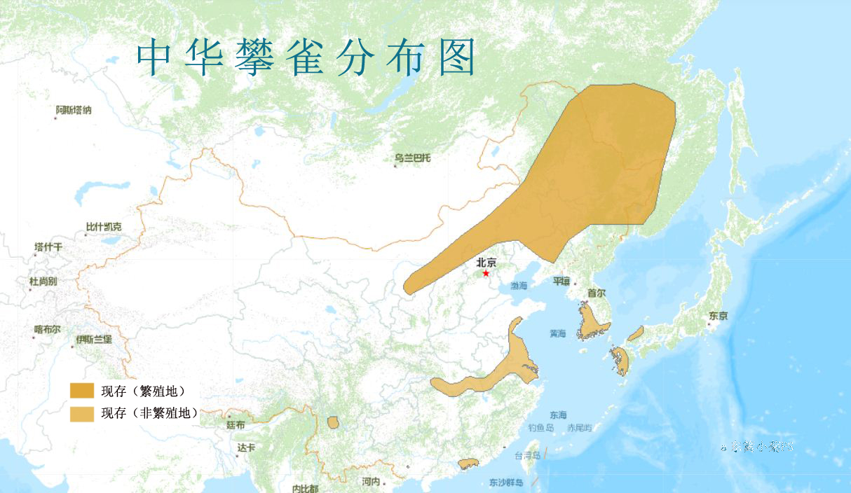 中華攀雀分布圖