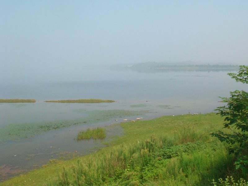 安徽安慶沿江濕地省級自然保護區