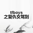 tfboys之復仇女駕到