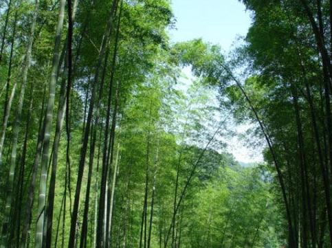 大華山風景區