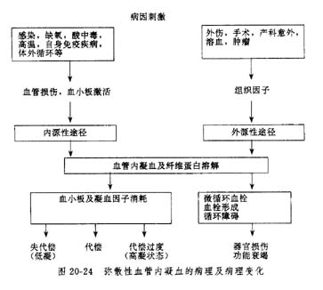 血漿硫酸魚精蛋白副凝固試驗