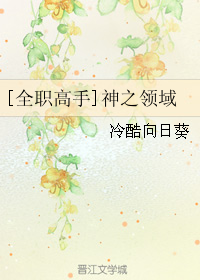 [全職高手]神之領域