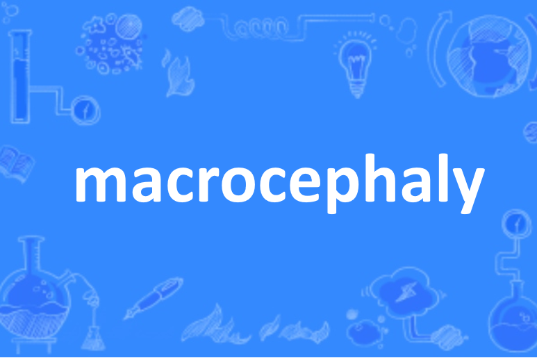 macrocephaly