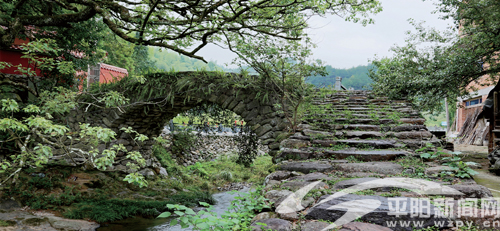 庵基嶺古道