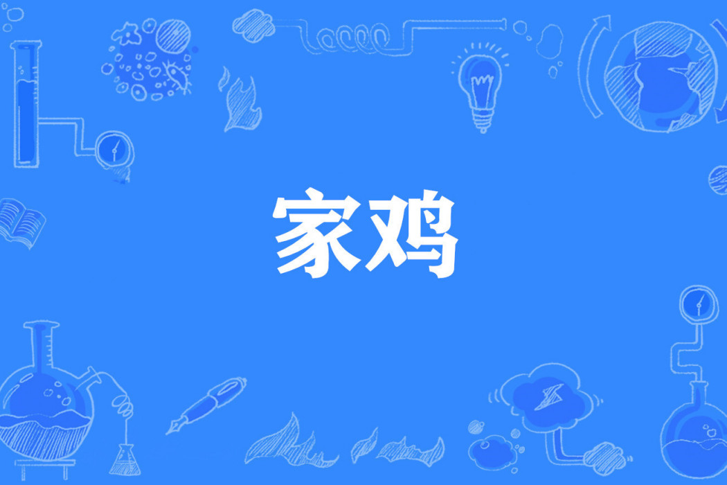 家雞(網路流行詞)