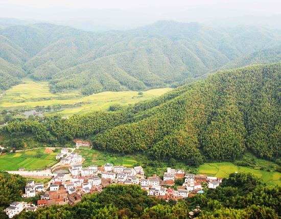 江西梅嶺國家森林公園