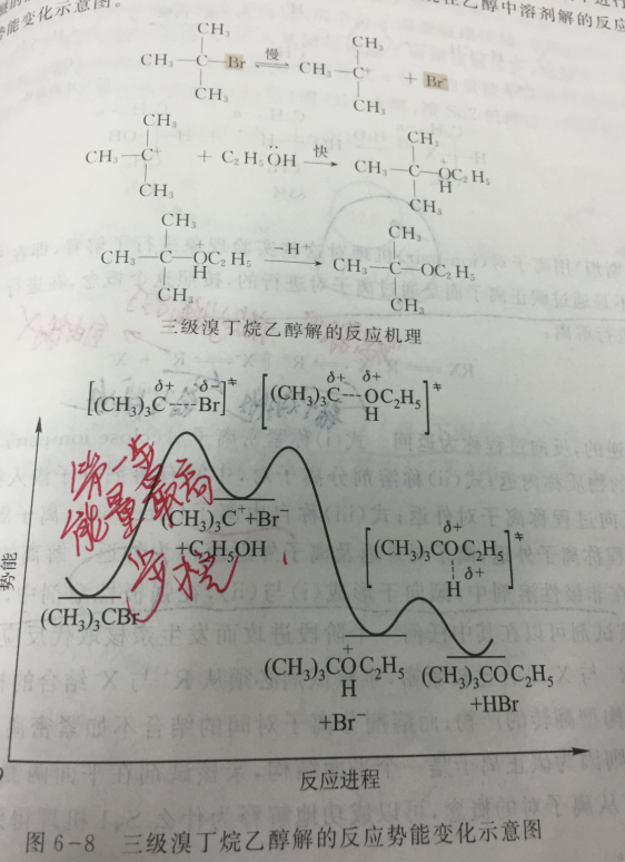 乙醇解