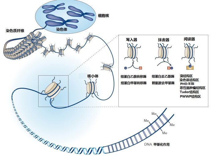 插入聚合