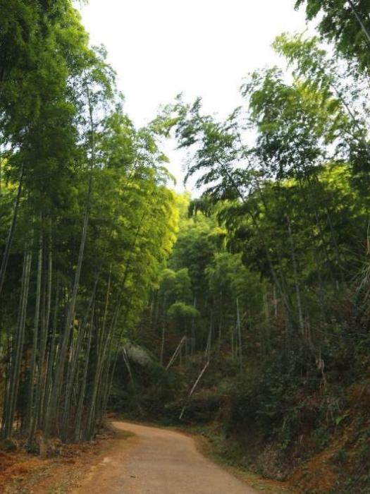 彭田村(江西省資溪縣石峽鄉下轄行政村)