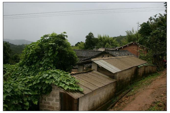 何家田村(雲南省保山市龍陵縣龍新鄉下轄村)