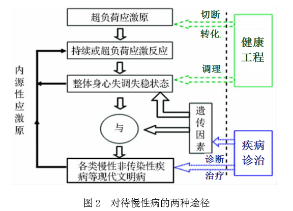 人類健康工程