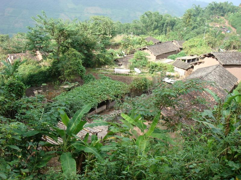 大田村(湖北省鄂州市華容區廟嶺鎮大田村)