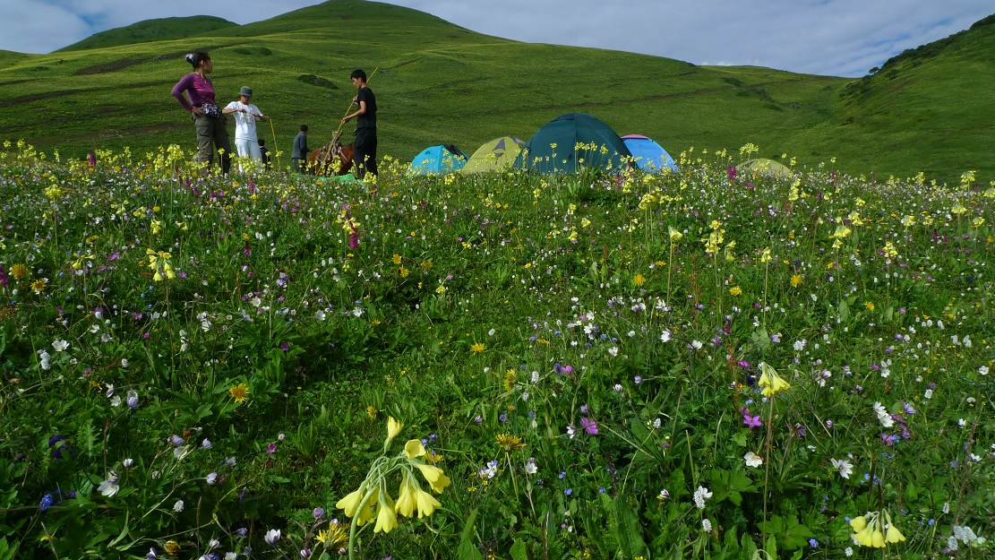 九頂山花海