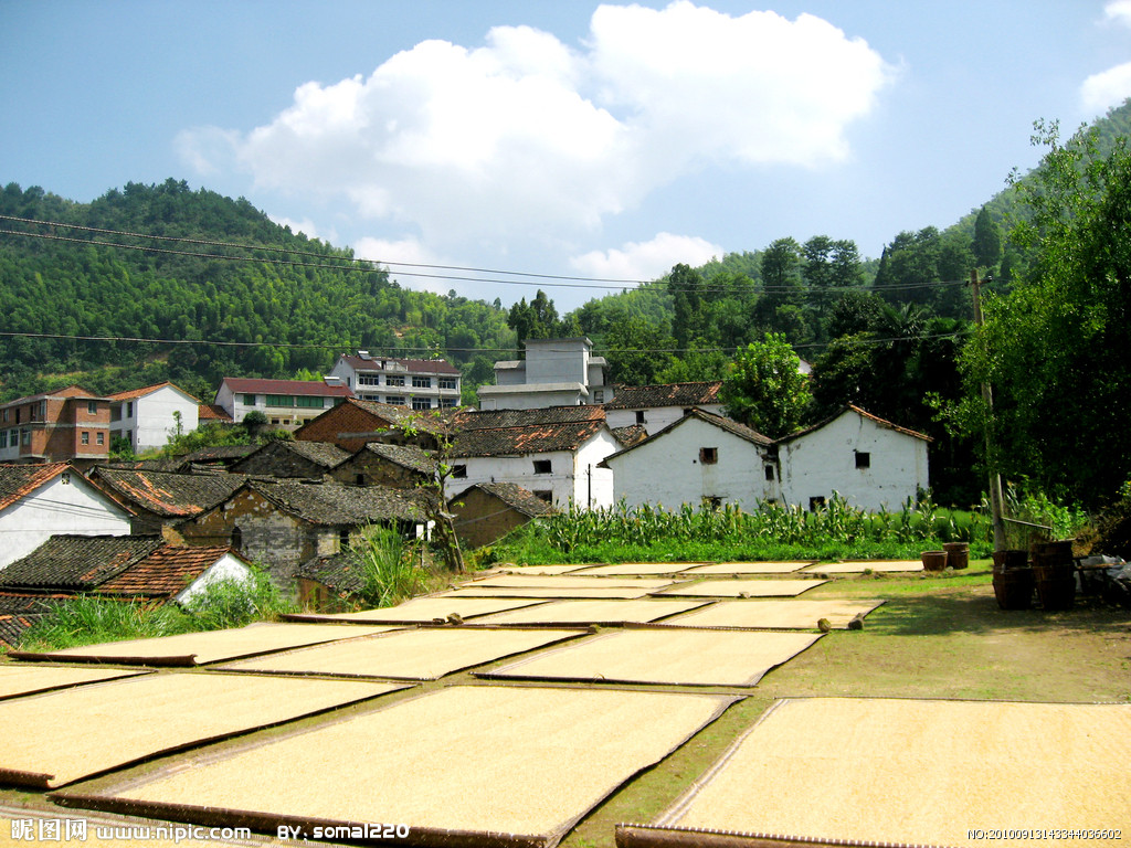 長坑壟村