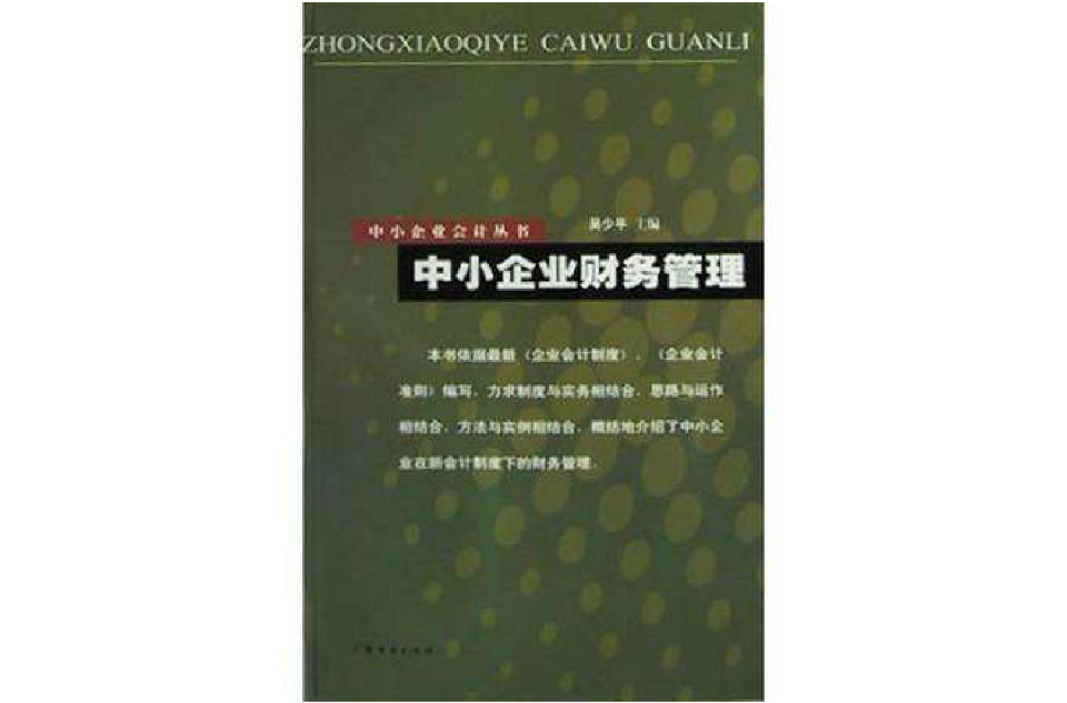 中小企業財務管理(2003年廣東經濟出版社出版書籍)