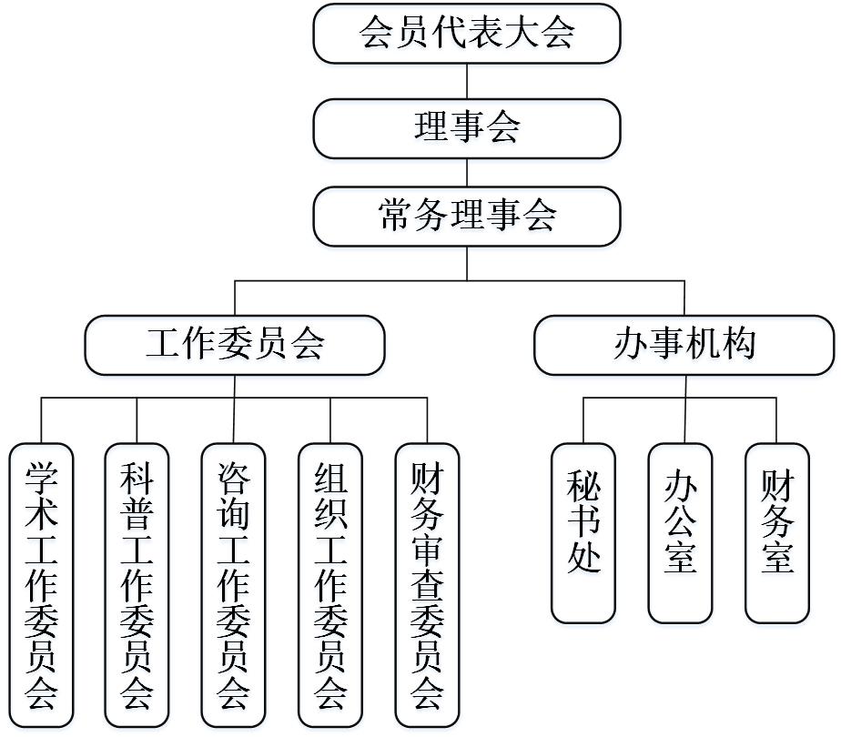 圖1 上海市工程管理學會組織結構