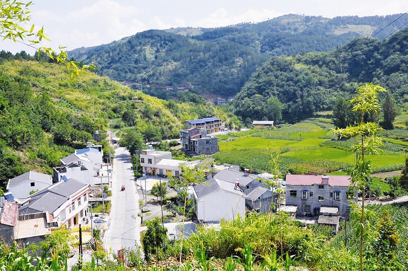 大沙壩村(雲南省瀘水縣魯掌鎮魯掌村下轄村)