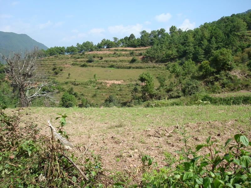 下中山自然村