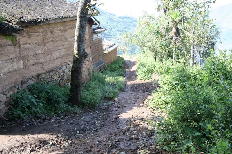 南村自然村(雲南省大理洱源縣喬後鎮大樹村南村自然村)