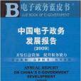 中國電子政務發展報告2009