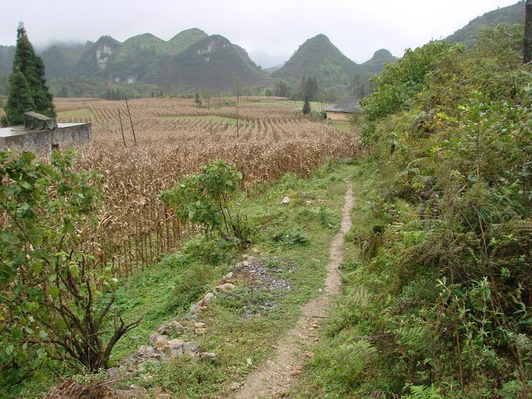 二道岩自然村(雲南省昭通市彝良縣鐘鳴鎮山河行政村轄自然村)