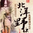 北洋野史亂世軍閥這么乾(北洋野史)