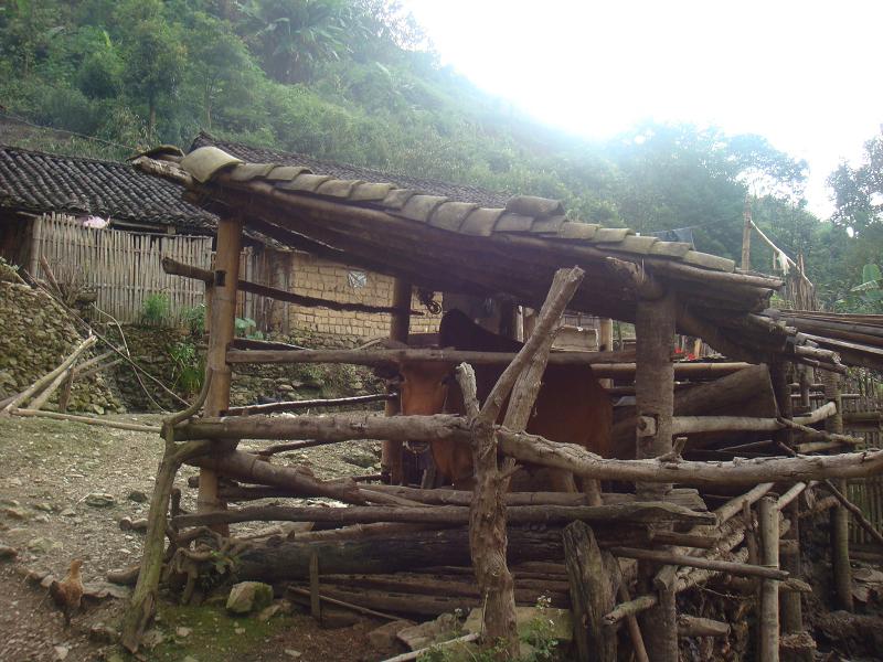 大田自然村(雲南普洱墨江縣泗南江鄉西歧村委大田自然村)