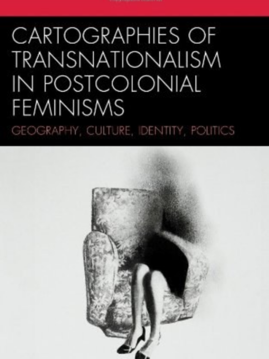 Cartographies of Transnationalism in Postcolonial Feminisms