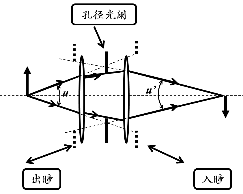 入瞳