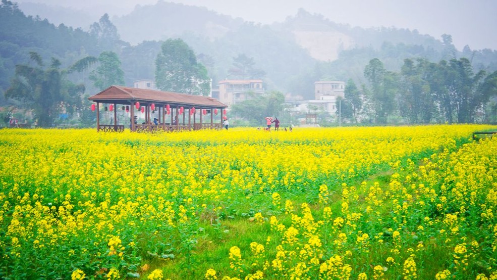 紅山村(雲南陸良縣芳華鎮下轄村)