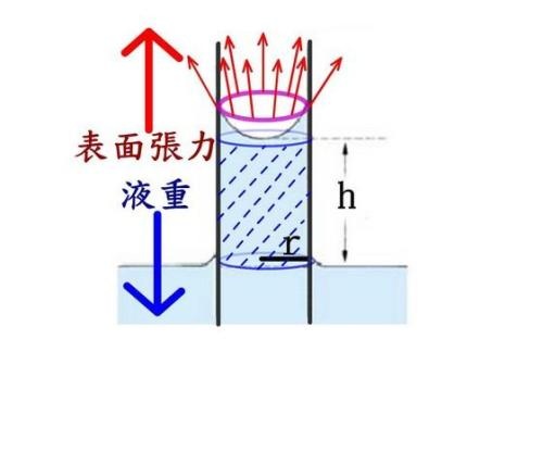 毛細力