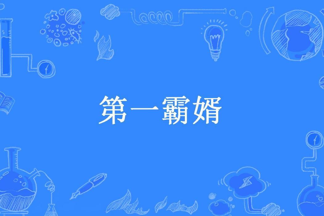 第一霸婿(明月清風所著小說)