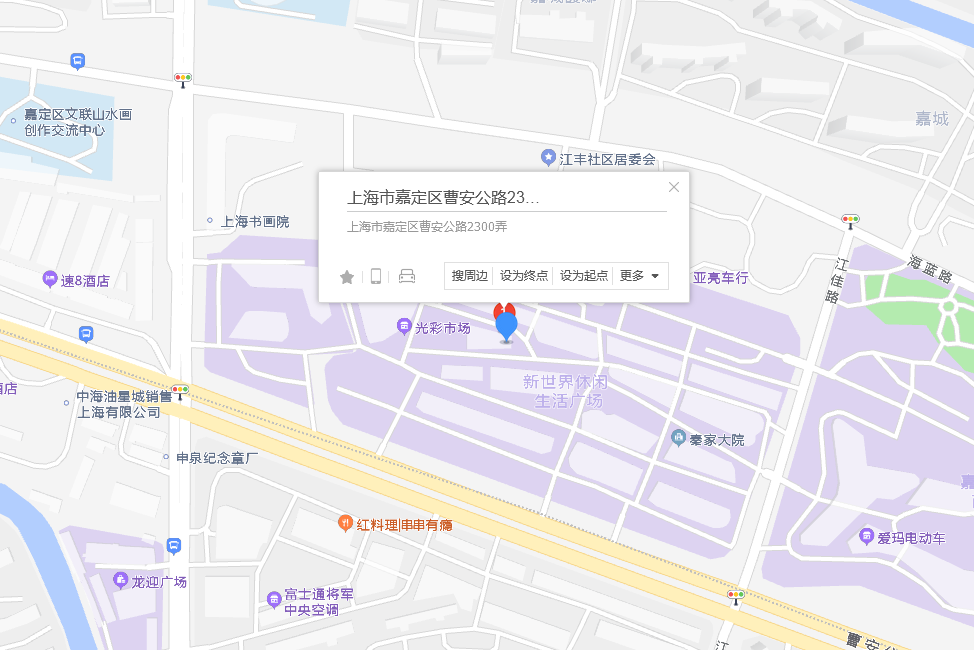 曹安公路2300弄238號