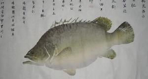 鮭魚