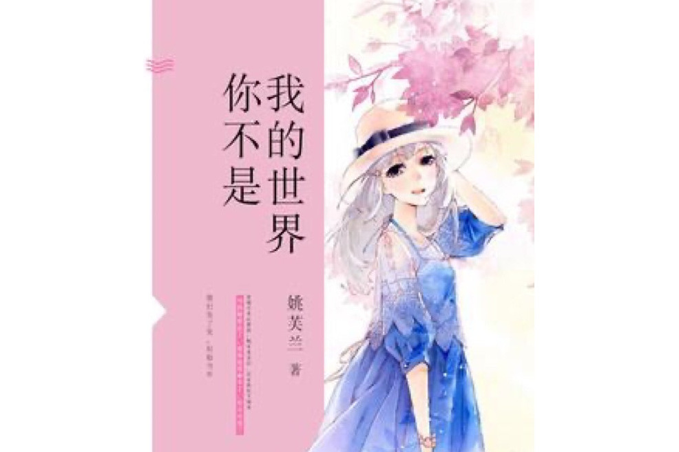 你不是我的世界(姚芙蘭所著小說)