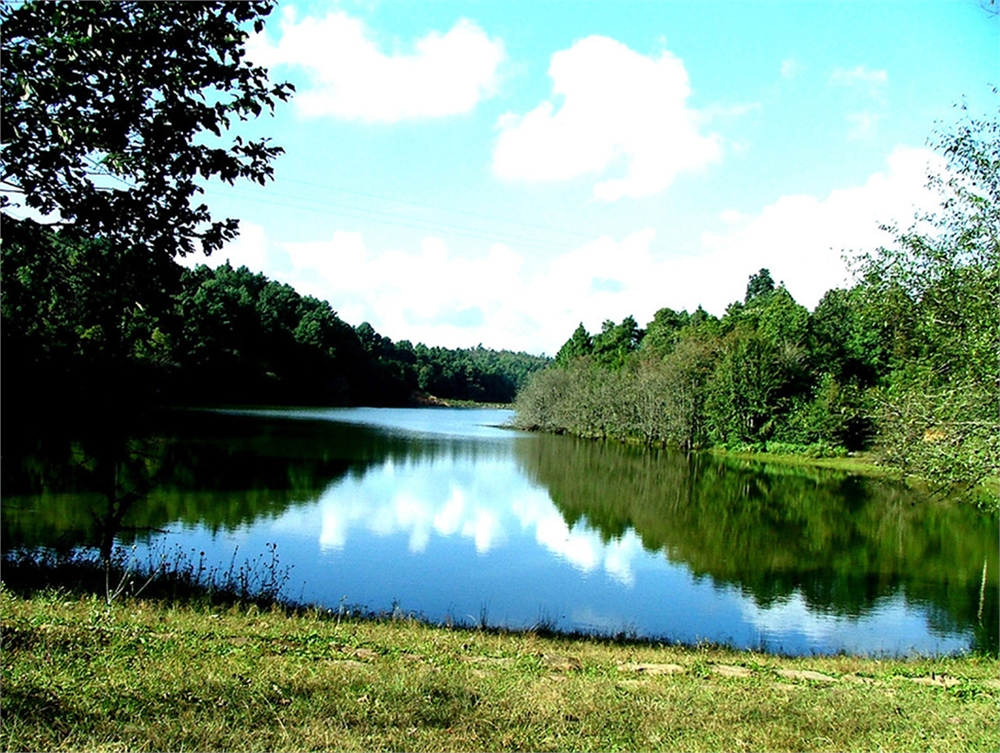 房山濱水森林公園