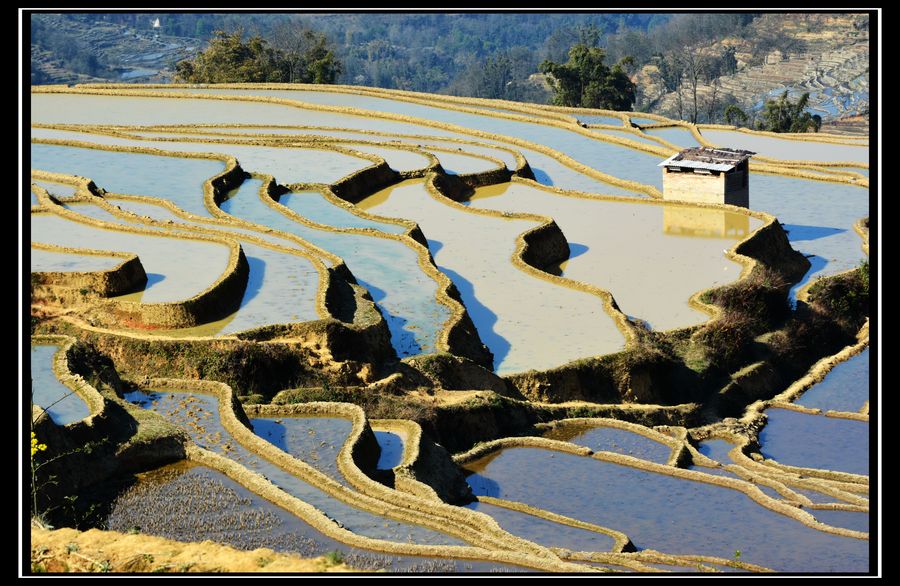 大魚塘村