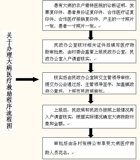 城鄉大病醫療救助