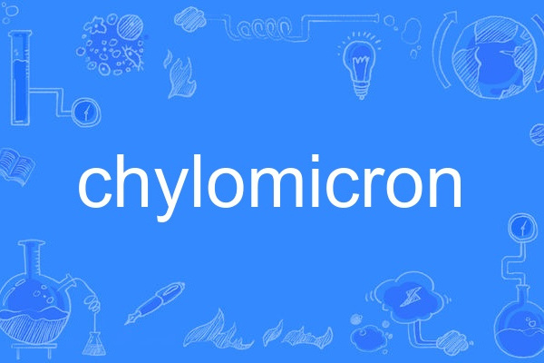 chylomicron