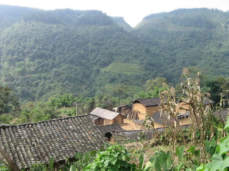 水頭沖村