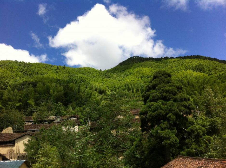 黃水岙村