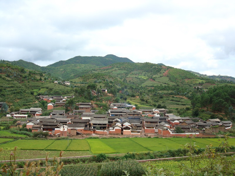 上村村(廣東省梅州市梅縣區梅南鎮下轄村)