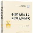 中國特色社會主義司法理論體系研究