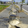 堪察加地震(堪察加大地震)