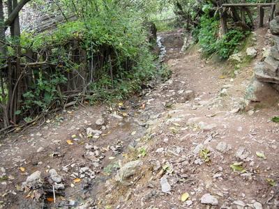 白雞山村村內道路