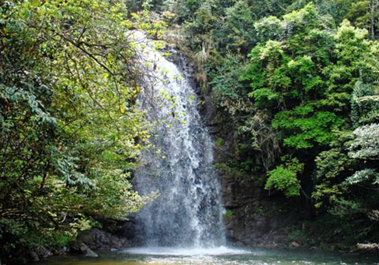 信豐縣金盆山自然保護區