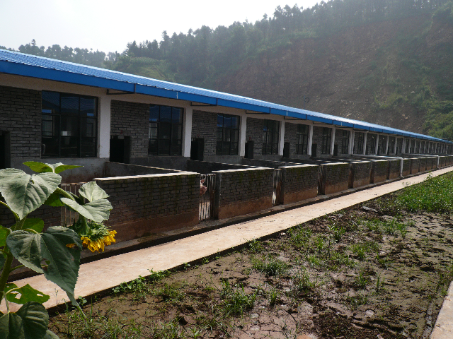 富源大河烏豬養殖基地