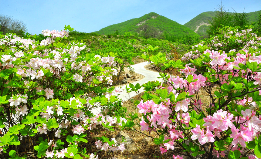 大城山(東港市大城山)